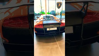 INSANE LAMBORGHINI MURCIELAGO SV! $450K V12 SUPERCAR! #shorts #viral #trending #youtube #cars #sub