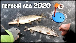 ЩУКА на ЖЕРЛИЦЫ 2020 !!! ЩУЧЬЕ БОЛОТО СТАЛО и МЫ ЛОВИМ ЩУКУ на ЖЕРЛИЦЫ