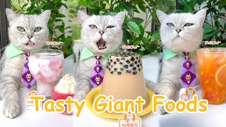 【Chef Cat Cooking】Cat's Creative Food Ideas | Candy&Drinks | Chef Cat Cooking TIKTOK 2022