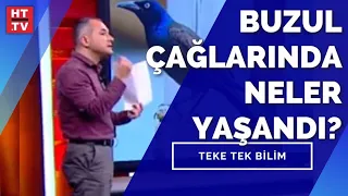 Hangi türler, nasıl yok oldu? Prof. Dr. Utku Perktaş yanıtladı