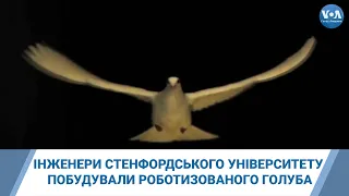 Інженери Стенфордського університету побудували роботизованого голуба