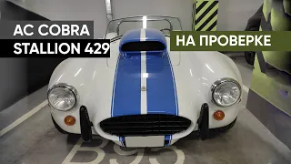 AC Cobra, о которой Shelby не знал: проверяем экзотику на подлинность