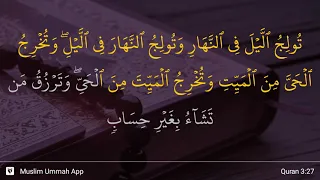 Al-'Imran ayat 27