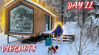 Vlogmas 22 КОГДА НЕ ХОЧЕТСЯ УЕЗЖАТЬ ….. 🎄🥲