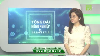 Tổng đài nông nghiệp, ngày 07/05/2024 (từ 10h25 - 11h25) | VTC16