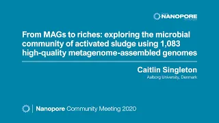 From MAGs to riches: exploring the microbial community of activated sludge using high-quality MAGS