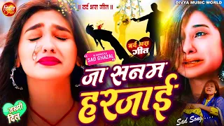 #Bewafai#Gana 2024 | New Sad #Ghazal | Bewafa Song | Gam Bhare Gane | Bewafa Song ,Sad #Dj,#Sadsongs