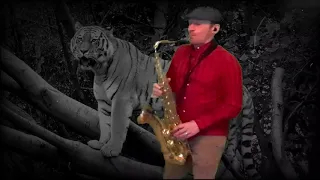 MANEATER- Hall & Oates  (sax cover)