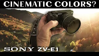 Sony ZV-E1 CINEMATIC Settings?
