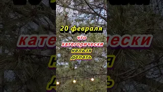 20 февраля народный праздник Могущница, Луки. Что категорически нельзя делать. Народные приметы