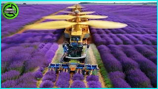 The Most Modern Agriculture Machines That Are At Another Level , How To Harvest Flowers In Farm ▶1