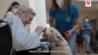 Pet therapy: una piccola magia straordinaria