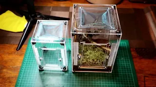 PROMANTIS ENCLOSURE - set up and review