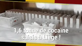 Vaste opération anti-drogue à Liège ! 1,6t de cocaïne saisie - RTBF Info