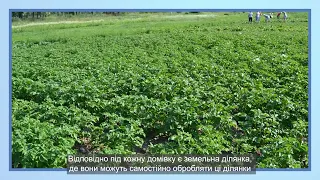 Чигиринська громада завдяки проекту «Сади Перемоги” забезпечила себе харчами та допомогла ЗСУ