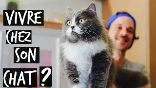 AVOIR UN CHAT HEUREUX CHEZ TOI ?! - TOOPET