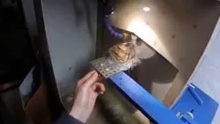 Cutting unclassified meteorite on Silver Blade VI