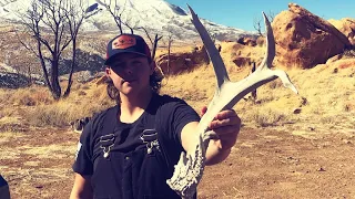 2021 HENRYS SHED HUNTING || GOOD SHEDS AND EVEN BETTER BUDDIES || SHEDICATED OUTDOORS