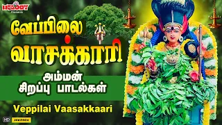 வெள்ளிக்கிழமை சிறப்பு அம்மன் பாடல்| வேப்பிலை வாசக்காரி |Veppilai Vaasakkari |L.R Eswari| Amman Songs