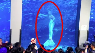You Won't Believe What People Found In This Aquarium..