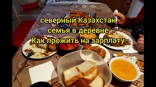 Деревня в Казахстане/Как приготовить за час три бюджетных блюда и накормить семью/Жизнь деревенская/