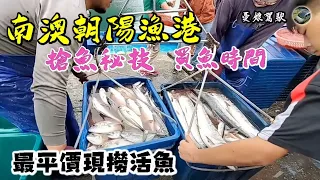 南澳朝陽漁港【搶魚密技】勝負一瞬間，下好離手｜宜蘭定置魚場｜朝陽漁港｜車宿車泊《憂娘駕駛Outdoor》