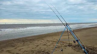 Hectic short session fishing Trunch Lane on the Lincolnshire coast