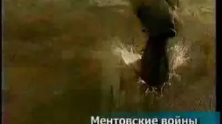 Ментовские войны. Ролик