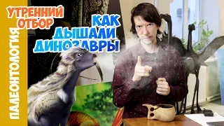 Как дышали динозавры? Новые исследования. Ярослав Попов