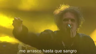 The Cure out of mynd  Live 30 05 2019 Sydney   Sydney Opera House, Concert Hall Australia subtitulad