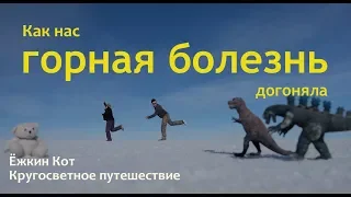 Горная болезнь в Южной Америке. Ёжкин Кот. Кругосветное путешествие.