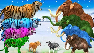 10 Zombie Tiger vs Cow Cartoon Rescue Saved By Woolly Mammoth