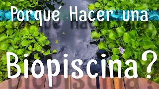 ¿Por qué hacer una Biopiscina?