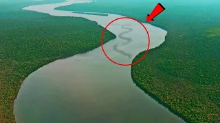 अमेज़न जंगल के 7 सबसे खतरनाक जानवर जो पल भर में ले सकते हैं किसी की जानAmazon Forest Mystery in Hindi