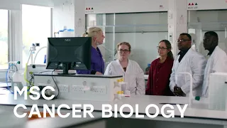 MSc Cancer Biology - staff and student overview