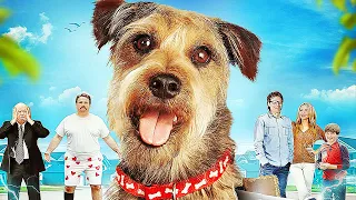 Mon Super Chien - Film COMPLET en Français (Chien Robot, Famille, Comédie)