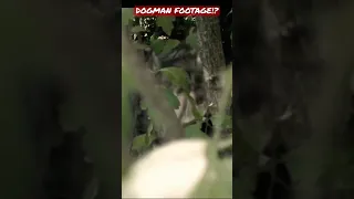 Dogman Footage?