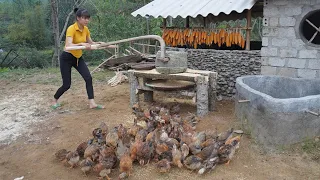 Grinding Corn For Ducks Chicken is Very Easy with 2 Stones, Primitive Technology, Building Farm Life