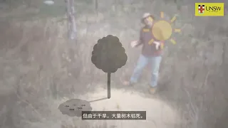 Video Episode: Central Placed Foragers [Simplified Chinese subtitles]