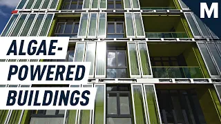 Microalgae Facades Produce Renewable Energy | Mashable