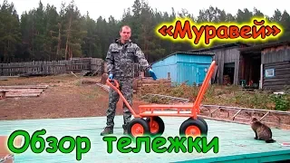 Обзор тележки Муравей. Умная тележка. (10.18г.) Семья Бровченко.