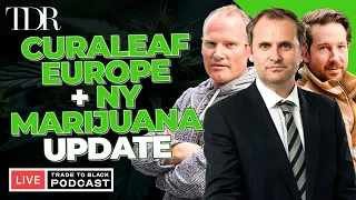 Curaleaf and NY York State Marijuana Regulation Update