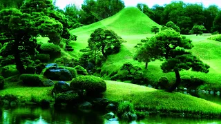 Japanese Zen Garden: Water Sounds and Traditional Music for Relaxation and Meditation