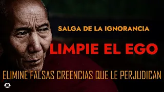 Adquiere TODAS LAS VIRTUDES DE TU SER limpia el ego y Elimina las falsas creencias que te perjudican