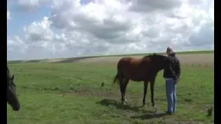 Horse whisperers Native Indian flute: Kiowa de Booy