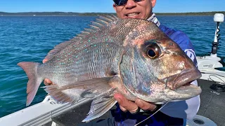 Fishing For Snapper With Rapala CrushCity The Imposter