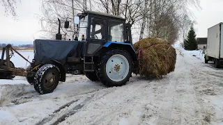 Обзор выставленного на продажу хозяйства в Беларуси!