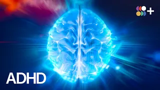 How Is the ADHD Brain Different?