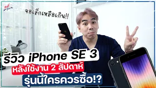 รีวิว iPhone SE 3 หลังใช้งานมารู้สึกยังไง ใครควรซื้อรุ่นนี้!? | อาตี๋รีวิว EP.940