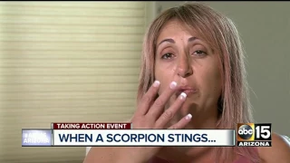 What to do if you're stung by a scorpion